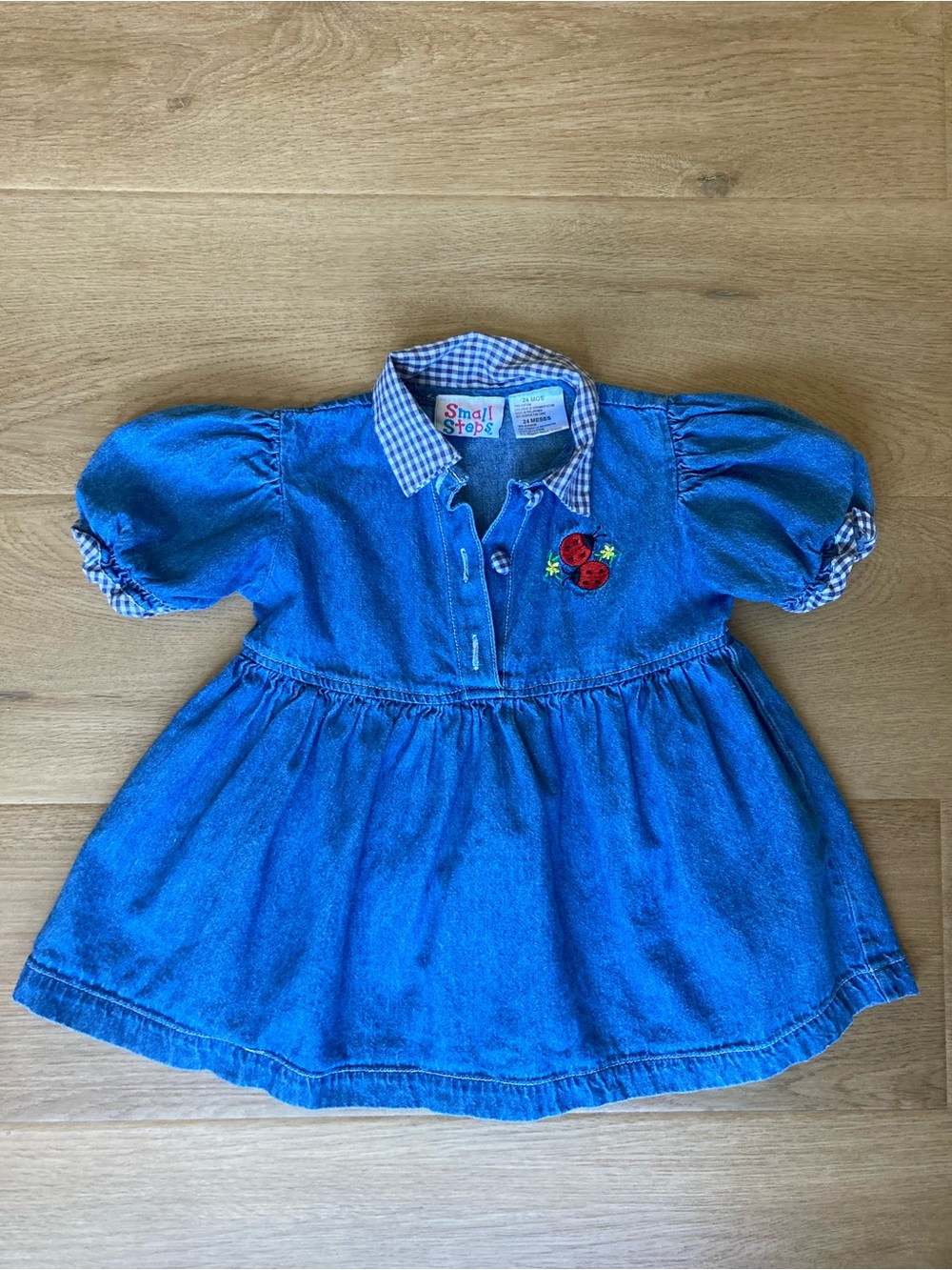 Small Steps Vintage Blue Denim Dress with Gingham Collar and Ladybug Embroidery